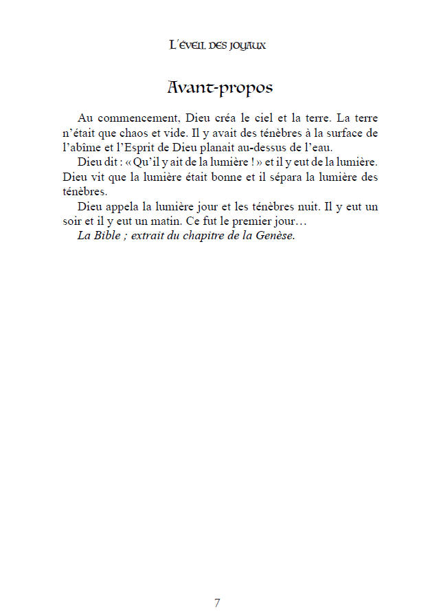 Légion de Lumières - Tome 1 : L’éveil des joyaux – Image 3